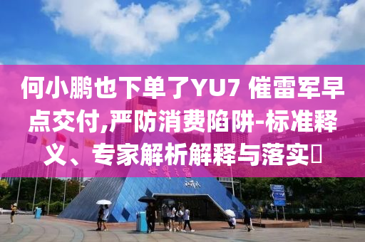 何小鵬也下單了YU7 催雷軍早點(diǎn)交付,嚴(yán)防消費(fèi)陷阱-標(biāo)準(zhǔn)釋義、專家解析解釋與落實(shí)?