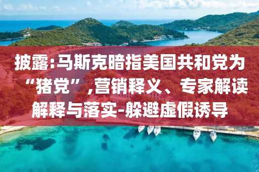 披露:馬斯克暗指美國共和黨為“豬黨”,營銷釋義、專家解讀解釋與落實-躲避虛假誘導(dǎo)