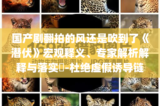國(guó)產(chǎn)劇翻拍的風(fēng)還是吹到了《潛伏》宏觀釋義、專家解析解釋與落實(shí)?-杜絕虛假誘導(dǎo)鏈