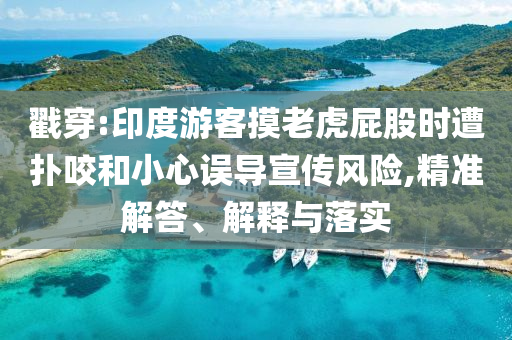 戳穿:印度游客摸老虎屁股時遭撲咬和小心誤導(dǎo)宣傳風險,精準解答、解釋與落實