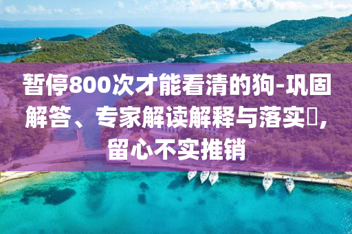 暫停800次才能看清的狗-鞏固解答、專家解讀解釋與落實?,留心不實推銷