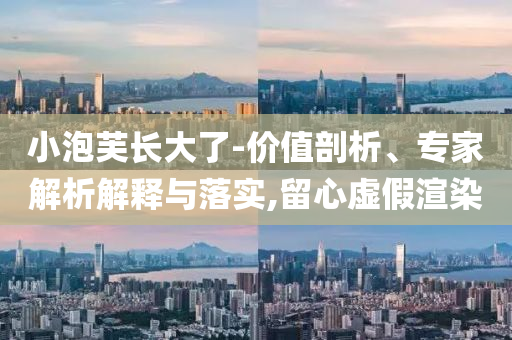 小泡芙長(zhǎng)大了-價(jià)值剖析、專家解析解釋與落實(shí),留心虛假渲染