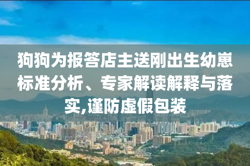 狗狗為報(bào)答店主送剛出生幼崽標(biāo)準(zhǔn)分析、專家解讀解釋與落實(shí),謹(jǐn)防虛假包裝