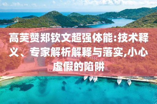 高芙贊鄭欽文超強體能:技術(shù)釋義、專家解析解釋與落實,小心虛假的陷阱