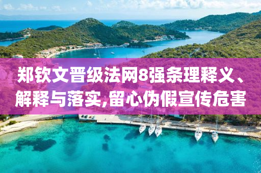 鄭欽文晉級(jí)法網(wǎng)8強(qiáng)條理釋義、解釋與落實(shí),留心偽假宣傳危害
