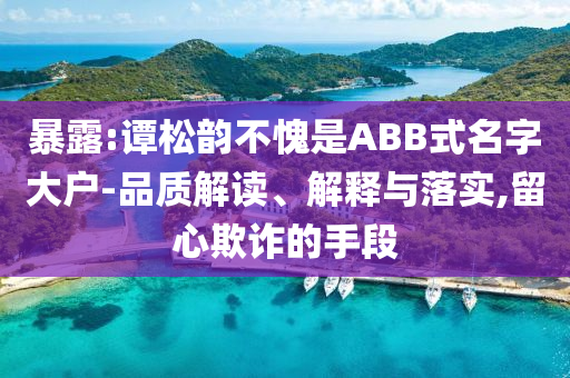 暴露:譚松韻不愧是ABB式名字大戶-品質(zhì)解讀、解釋與落實,留心欺詐的手段