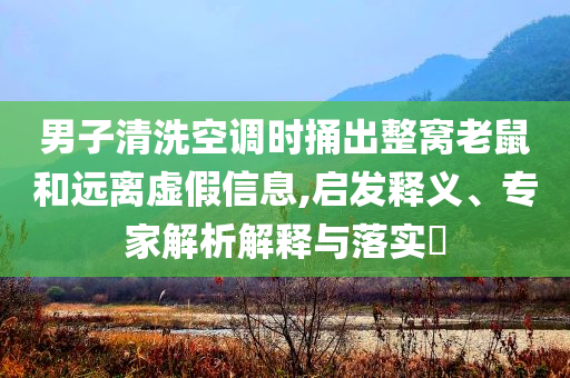 男子清洗空調(diào)時(shí)捅出整窩老鼠和遠(yuǎn)離虛假信息,啟發(fā)釋義、專家解析解釋與落實(shí)?