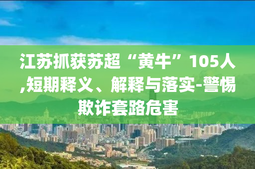 江蘇抓獲蘇超“黃?！?05人,短期釋義、解釋與落實-警惕欺詐套路危害