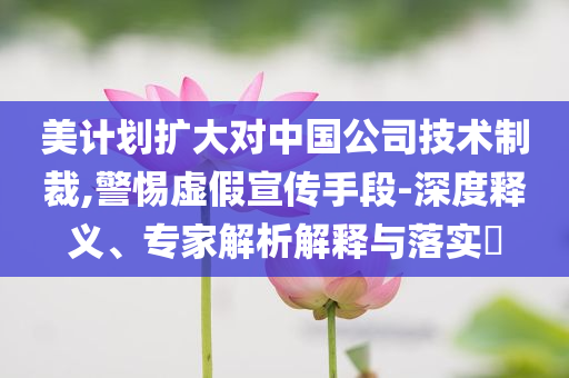美計(jì)劃擴(kuò)大對(duì)中國(guó)公司技術(shù)制裁,警惕虛假宣傳手段-深度釋義、專家解析解釋與落實(shí)?