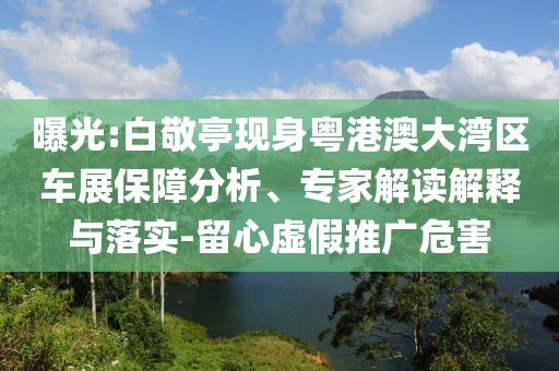 曝光:白敬亭現(xiàn)身粵港澳大灣區(qū)車展保障分析、專家解讀解釋與落實-留心虛假推廣危害