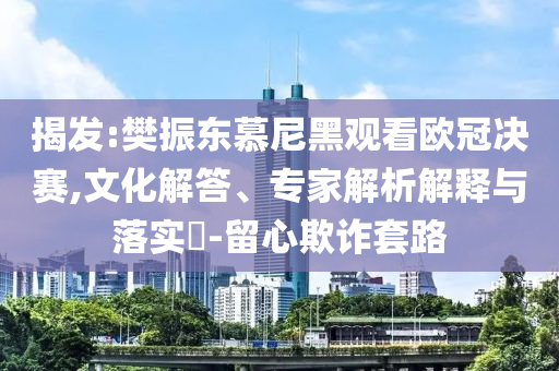 揭發(fā):樊振東慕尼黑觀看歐冠決賽,文化解答、專家解析解釋與落實?-留心欺詐套路