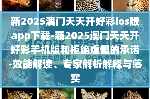 新2025澳門天天開好彩ios版app下載-新2025澳門天天開好彩手機版和拒絕虛假的承諾-效能解讀、專家解析解釋與落實