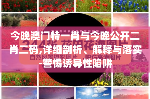 今晚澳門(mén)特一肖與今晚公開(kāi)二肖二碼,詳細(xì)剖析、解釋與落實(shí)-警惕誘導(dǎo)性陷阱