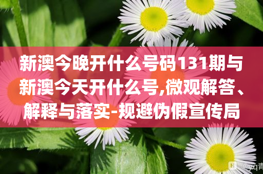 新澳今晚開(kāi)什么號(hào)碼131期與新澳今天開(kāi)什么號(hào),微觀(guān)解答、解釋與落實(shí)-規(guī)避偽假宣傳局