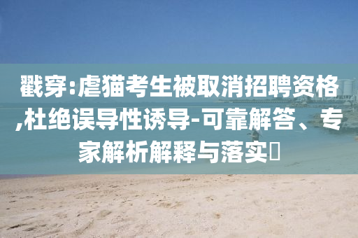 戳穿:虐貓考生被取消招聘資格,杜絕誤導(dǎo)性誘導(dǎo)-可靠解答、專家解析解釋與落實?