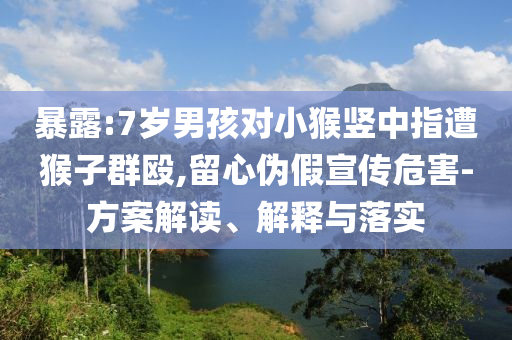 暴露:7歲男孩對小猴豎中指遭猴子群毆,留心偽假宣傳危害-方案解讀、解釋與落實