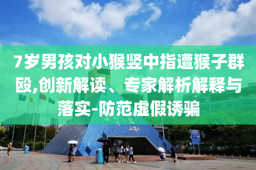 7歲男孩對小猴豎中指遭猴子群毆,創(chuàng)新解讀、專家解析解釋與落實-防范虛假誘騙
