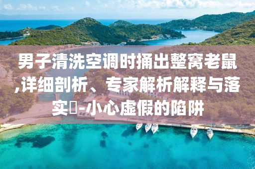 男子清洗空調(diào)時捅出整窩老鼠,詳細(xì)剖析、專家解析解釋與落實(shí)?-小心虛假的陷阱