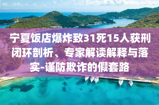 寧夏飯店爆炸致31死15人獲刑閉環(huán)剖析、專家解讀解釋與落實(shí)-謹(jǐn)防欺詐的假套路