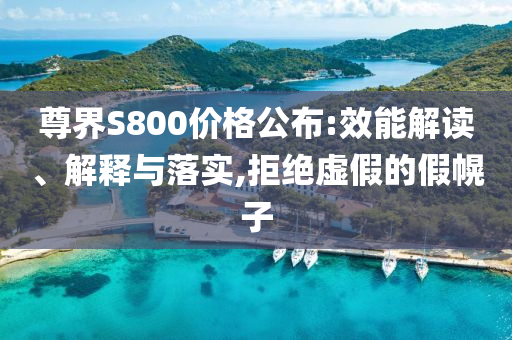 尊界S800價格公布:效能解讀、解釋與落實,拒絕虛假的假幌子