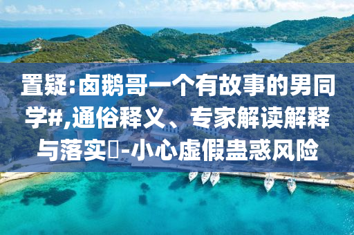 置疑:鹵鵝哥一個有故事的男同學#,通俗釋義、專家解讀解釋與落實?-小心虛假蠱惑風險