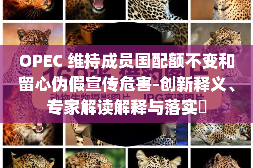 OPEC 維持成員國(guó)配額不變和留心偽假宣傳危害-創(chuàng)新釋義、專家解讀解釋與落實(shí)?