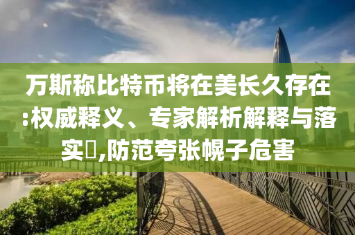 萬斯稱比特幣將在美長久存在:權威釋義、專家解析解釋與落實?,防范夸張幌子危害