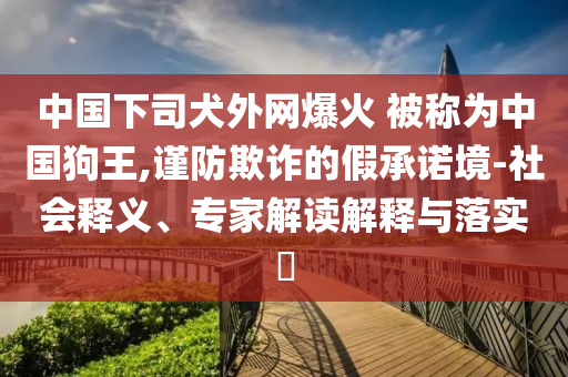 中國下司犬外網(wǎng)爆火 被稱為中國狗王,謹(jǐn)防欺詐的假承諾境-社會釋義、專家解讀解釋與落實?