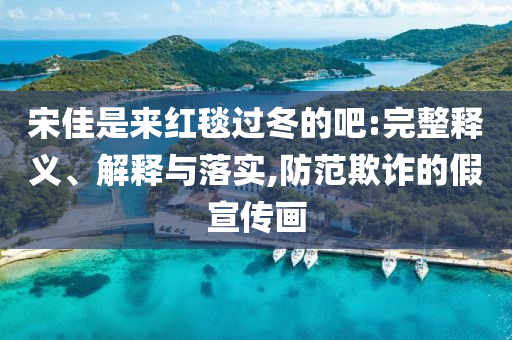 宋佳是來紅毯過冬的吧:完整釋義、解釋與落實,防范欺詐的假宣傳畫