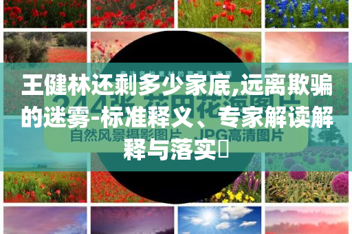 王健林還剩多少家底,遠(yuǎn)離欺騙的迷霧-標(biāo)準(zhǔn)釋義、專(zhuān)家解讀解釋與落實(shí)?