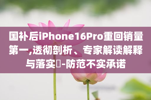 國(guó)補(bǔ)后iPhone16Pro重回銷(xiāo)量第一,透徹剖析、專(zhuān)家解讀解釋與落實(shí)?-防范不實(shí)承諾