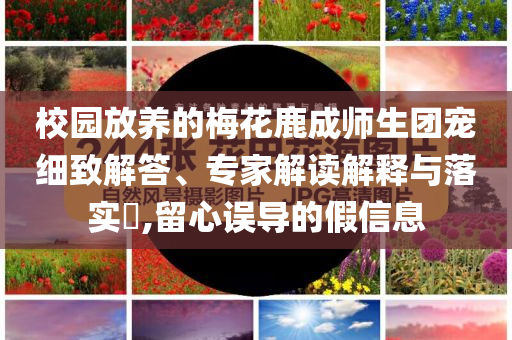 校園放養(yǎng)的梅花鹿成師生團(tuán)寵細(xì)致解答、專家解讀解釋與落實(shí)?,留心誤導(dǎo)的假信息