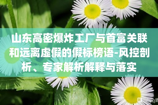 山東高密爆炸工廠與首富關(guān)聯(lián)和遠(yuǎn)離虛假的假標(biāo)榜語(yǔ)-風(fēng)控剖析、專家解析解釋與落實(shí)