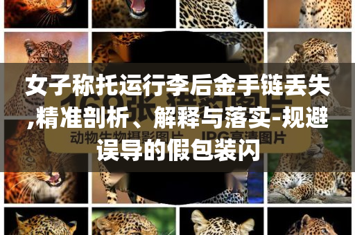 女子稱(chēng)托運(yùn)行李后金手鏈丟失,精準(zhǔn)剖析、解釋與落實(shí)-規(guī)避誤導(dǎo)的假包裝閃