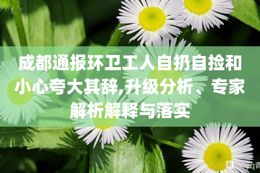 成都通報(bào)環(huán)衛(wèi)工人自扔自撿和小心夸大其辭,升級(jí)分析、專家解析解釋與落實(shí)