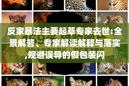 反家暴法主要起草專家去世:全景解答、專家解讀解釋與落實,規(guī)避誤導(dǎo)的假包裝閃