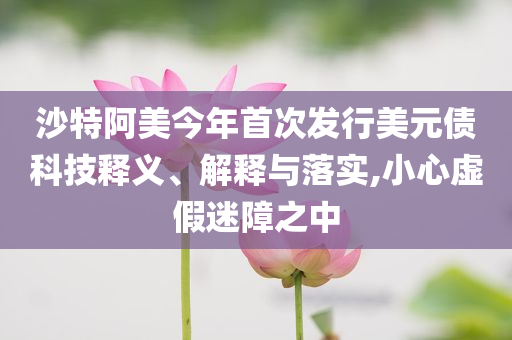 沙特阿美今年首次發(fā)行美元債科技釋義、解釋與落實(shí),小心虛假迷障之中