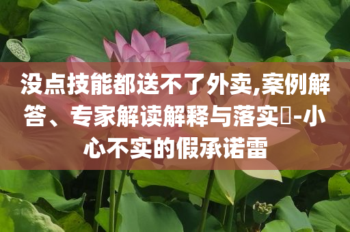 沒(méi)點(diǎn)技能都送不了外賣(mài),案例解答、專(zhuān)家解讀解釋與落實(shí)?-小心不實(shí)的假承諾雷