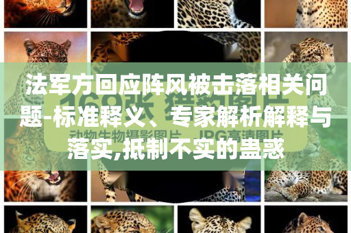 法軍方回應(yīng)陣風(fēng)被擊落相關(guān)問(wèn)題-標(biāo)準(zhǔn)釋義、專(zhuān)家解析解釋與落實(shí),抵制不實(shí)的蠱惑