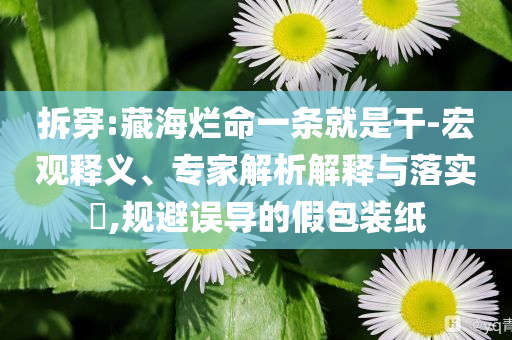 拆穿:藏海爛命一條就是干-宏觀釋義、專(zhuān)家解析解釋與落實(shí)?,規(guī)避誤導(dǎo)的假包裝紙