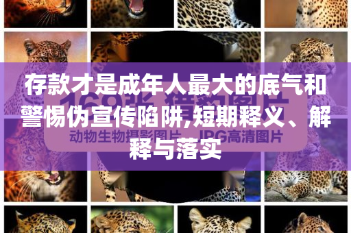 存款才是成年人最大的底氣和警惕偽宣傳陷阱,短期釋義、解釋與落實