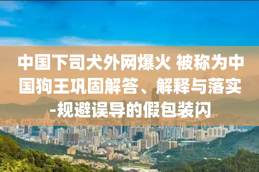 中國下司犬外網(wǎng)爆火 被稱為中國狗王鞏固解答、解釋與落實(shí)-規(guī)避誤導(dǎo)的假包裝閃