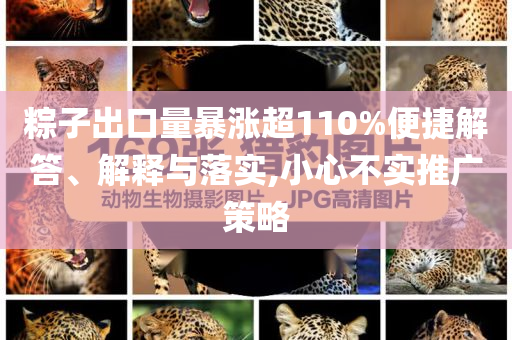 粽子出口量暴漲超110%便捷解答、解釋與落實,小心不實推廣策略