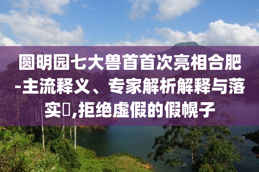 圓明園七大獸首首次亮相合肥-主流釋義、專家解析解釋與落實(shí)?,拒絕虛假的假幌子