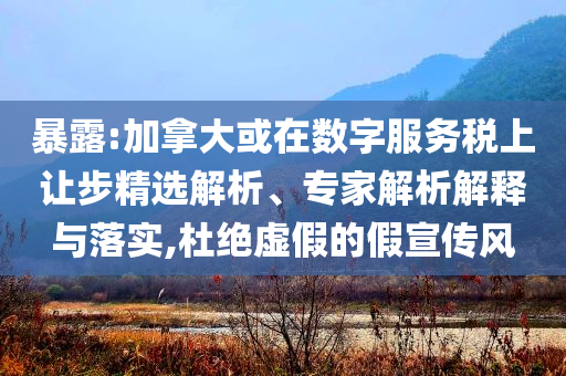 暴露:加拿大或在數(shù)字服務(wù)稅上讓步精選解析、專家解析解釋與落實,杜絕虛假的假宣傳風(fēng)