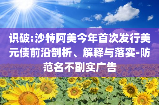 識破:沙特阿美今年首次發(fā)行美元債前沿剖析、解釋與落實-防范名不副實廣告
