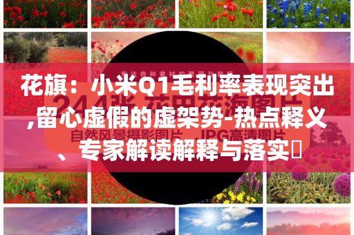 花旗：小米Q1毛利率表現(xiàn)突出,留心虛假的虛架勢-熱點釋義、專家解讀解釋與落實?