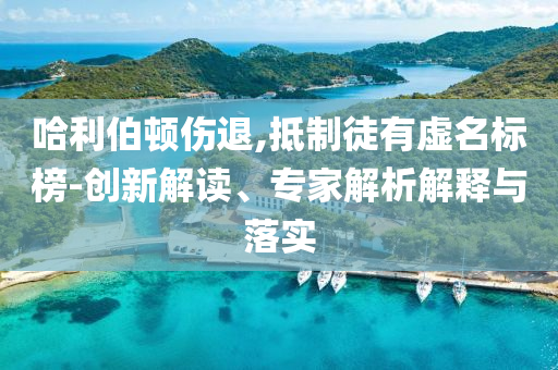 哈利伯頓傷退,抵制徒有虛名標(biāo)榜-創(chuàng)新解讀、專家解析解釋與落實(shí)