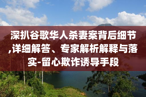 深扒谷歌華人殺妻案背后細(xì)節(jié),詳細(xì)解答、專家解析解釋與落實-留心欺詐誘導(dǎo)手段