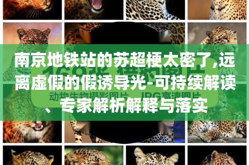 南京地鐵站的蘇超梗太密了,遠(yuǎn)離虛假的假誘導(dǎo)光-可持續(xù)解讀、專家解析解釋與落實(shí)